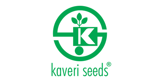 12_kaveri_seeds